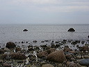 p1010426