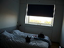 p1010490