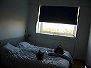 p1010491