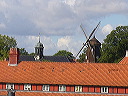 p1010553