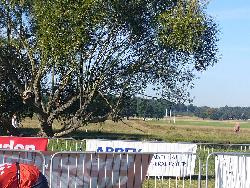 p1000145.jpg