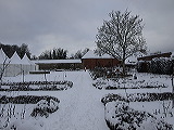 _c184196