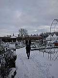 _c184204