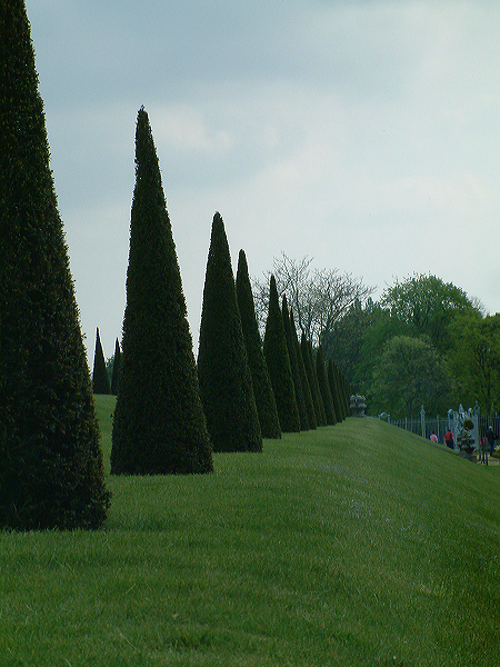 dscf0072.jpg