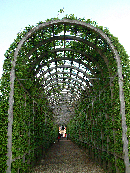 dscf0078.jpg