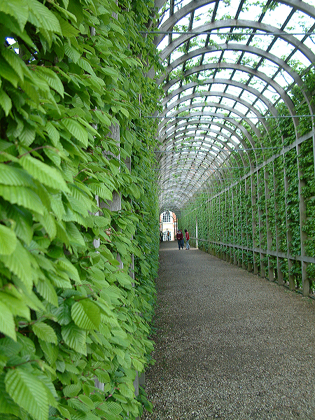 dscf0082.jpg