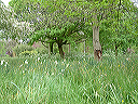 dscf0025