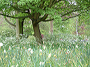 dscf0026