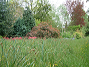 dscf0029