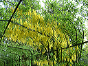dscf0037