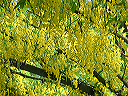 dscf0038