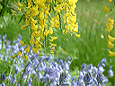 dscf0039