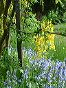 dscf0040