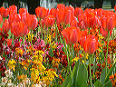 dscf0044