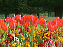 dscf0045