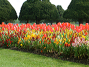dscf0046