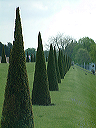 dscf0071