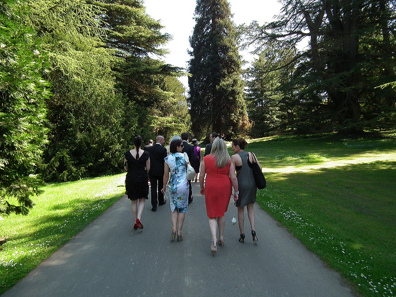dscf1229.jpg