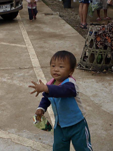 _b184084.jpg