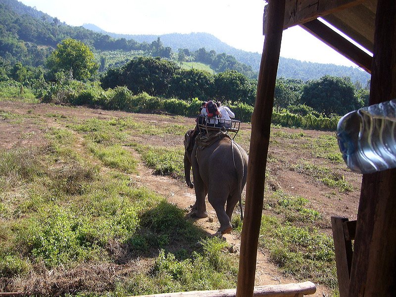 p1050146.jpg