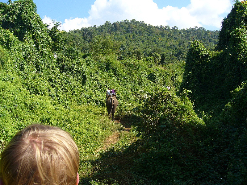 p1050148.jpg