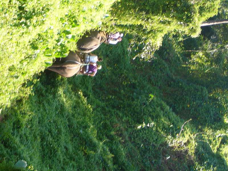 p1050151.jpg