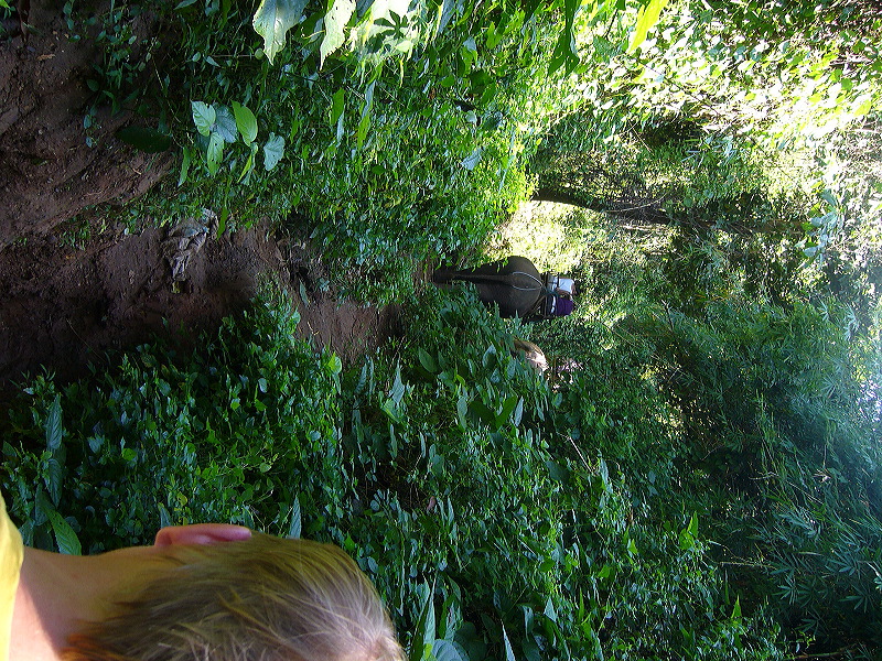p1050153.jpg