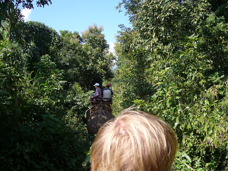 p1050154.jpg