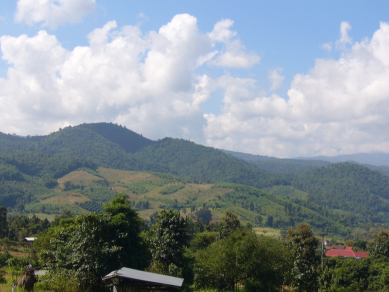 p1050157.jpg