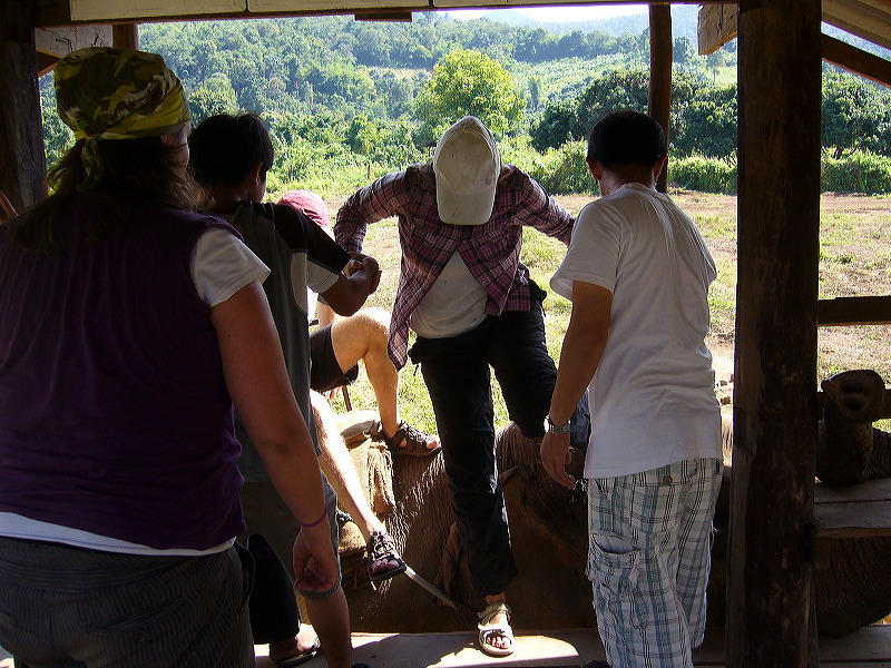 p1050163.jpg