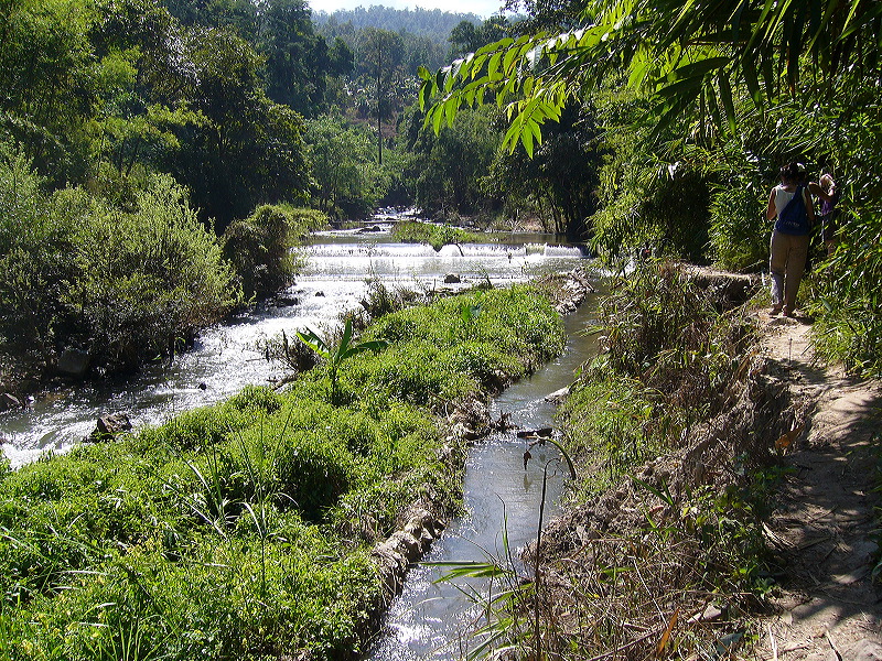p1050172.jpg