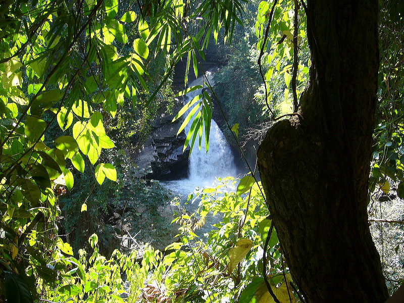 p1050174.jpg