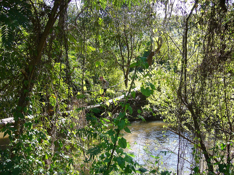 p1050204.jpg