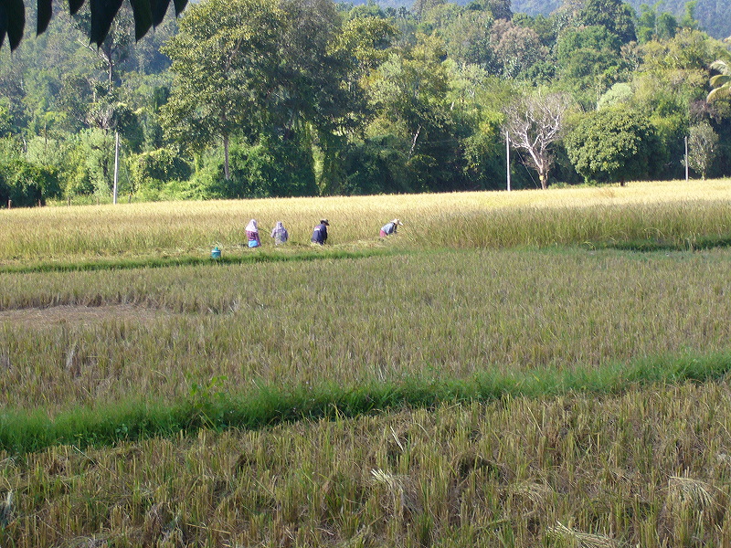 p1050206.jpg