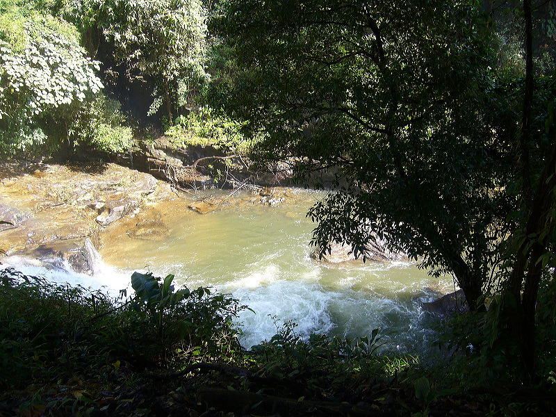 p1050239.jpg