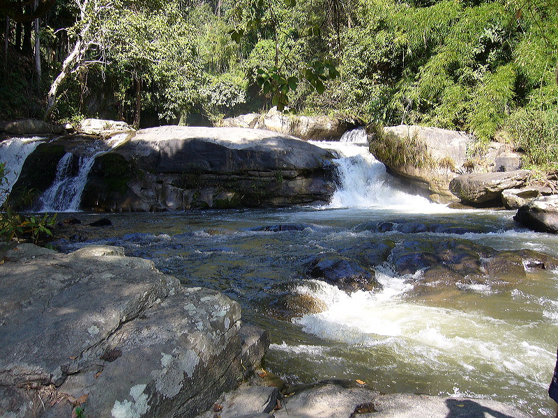 p1050245.jpg