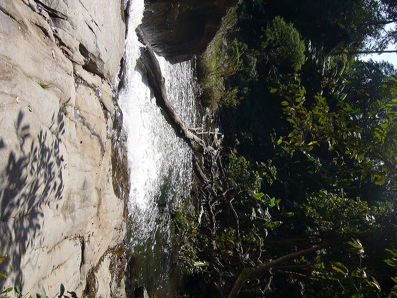 p1050247.jpg