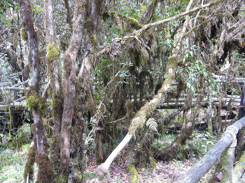 p1050258.jpg