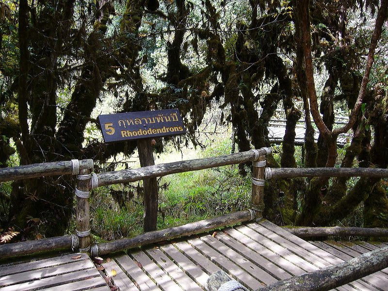 p1050259.jpg