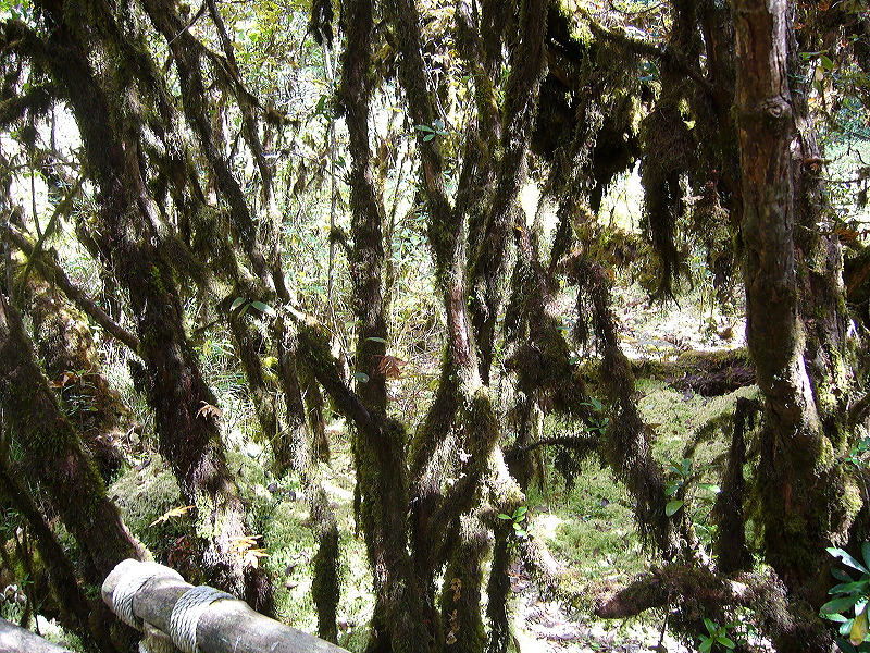 p1050260.jpg