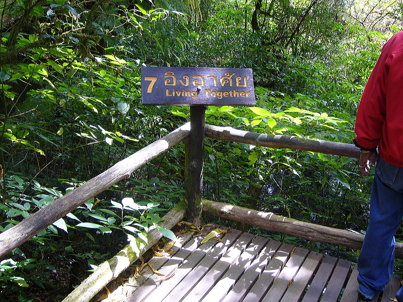 p1050261.jpg
