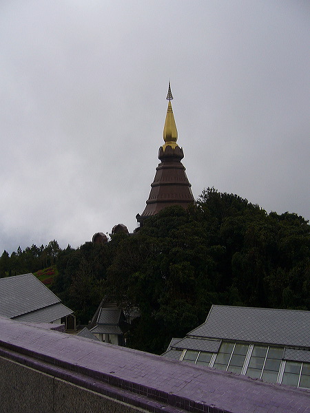 p1050269.jpg