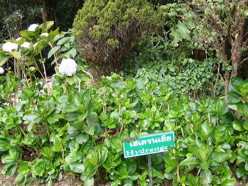 p1050284.jpg