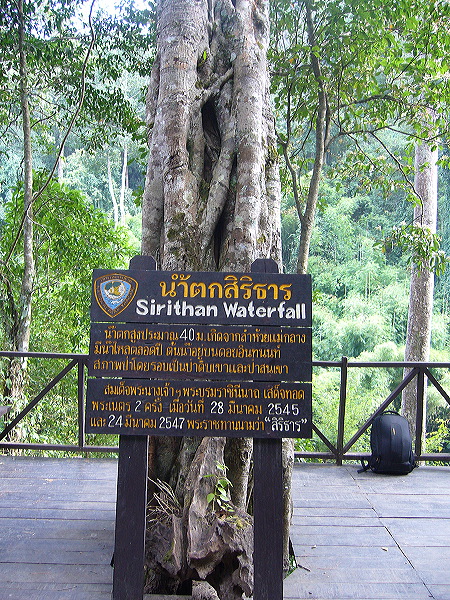 p1050286.jpg