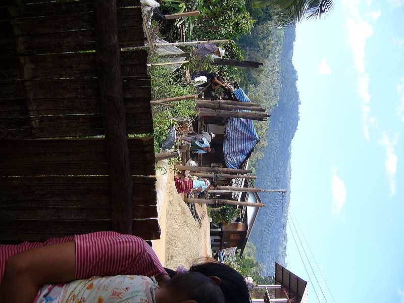 p1050290.jpg
