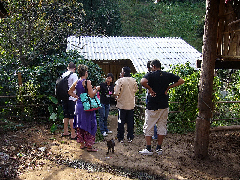 p1050294.jpg