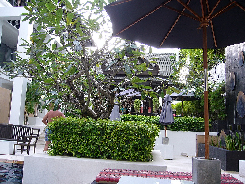 p1050357.jpg
