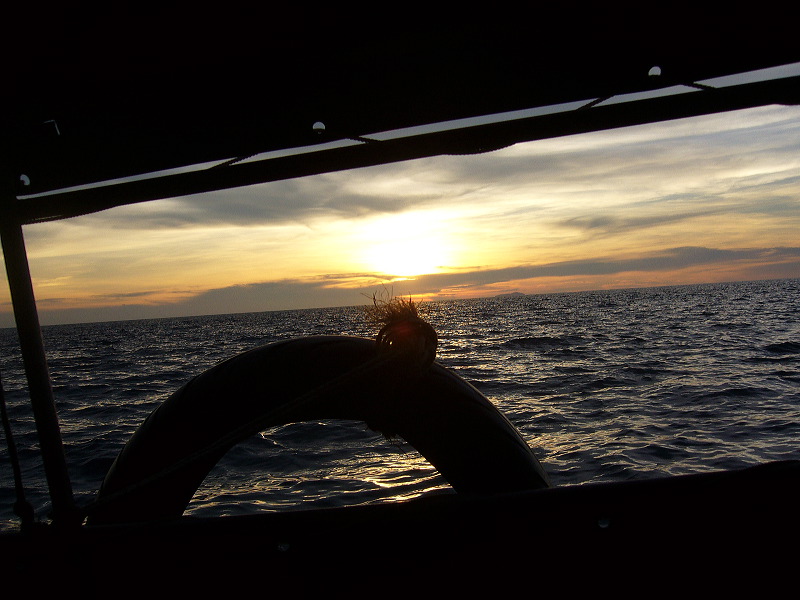 p1050466.jpg