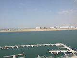 _b123596
