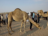 _b123612